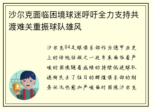 沙尔克面临困境球迷呼吁全力支持共渡难关重振球队雄风