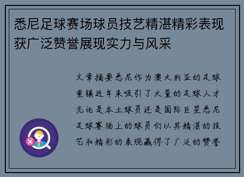 悉尼足球赛场球员技艺精湛精彩表现获广泛赞誉展现实力与风采