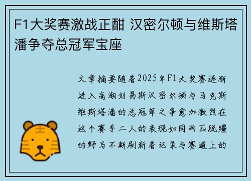 F1大奖赛激战正酣 汉密尔顿与维斯塔潘争夺总冠军宝座